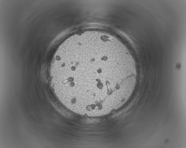 X0000116781403201001281112