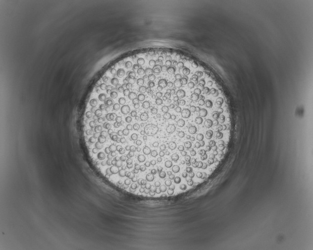 X0000116781404201001281112