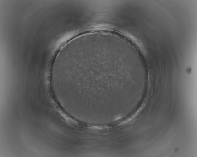 X0000116781405201001281112