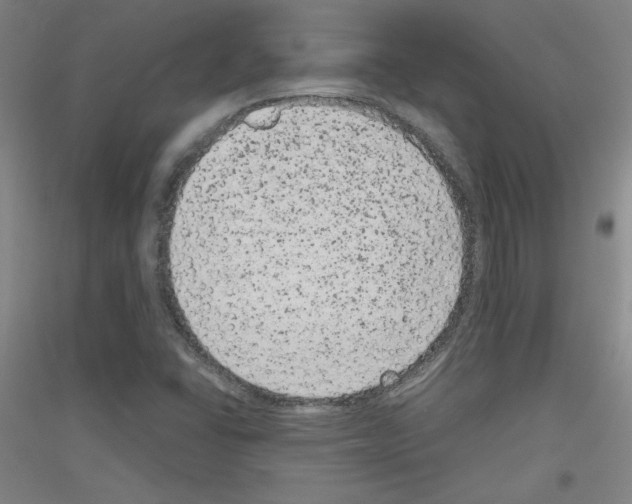 X0000116781406201001281112