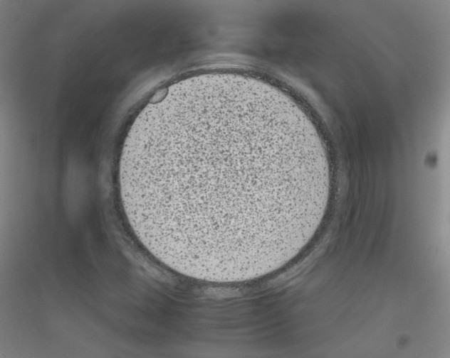 X0000116781407201001281112