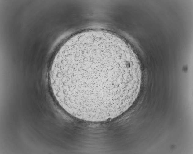 X0000116781408201001281112