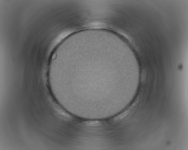 X0000116781410201001281112