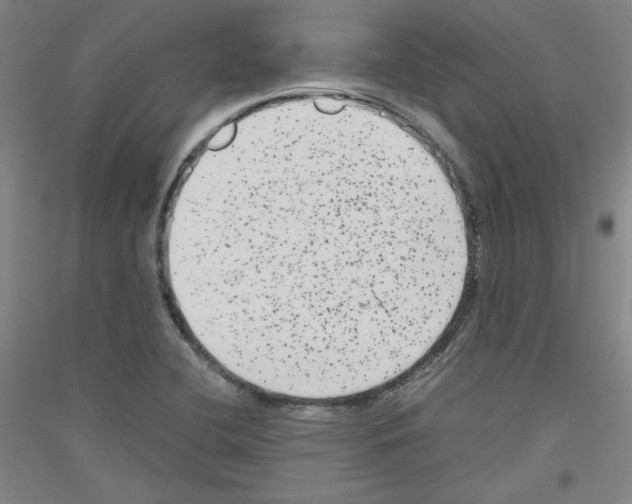 X0000116781412201001281112