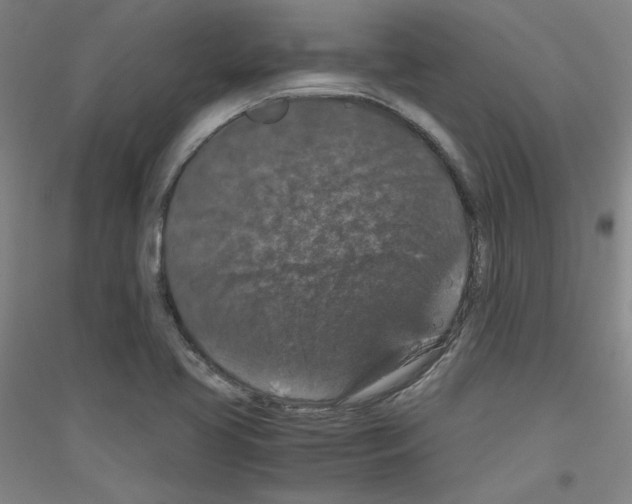 X0000116781413201001281112