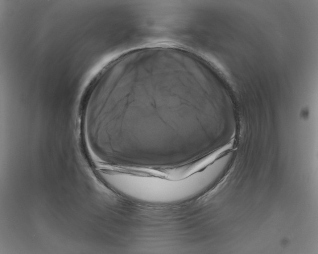 X0000116781414201001281112