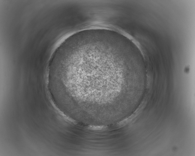 X0000116781415201001281112