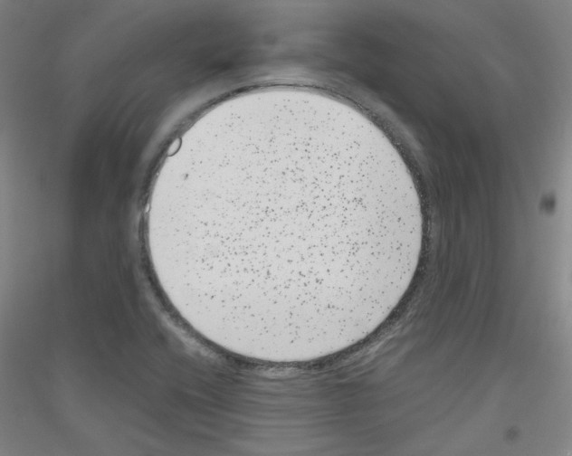 X0000116781416201001281112