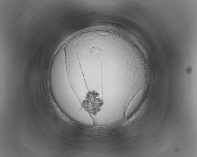 X0000116781417201001281112