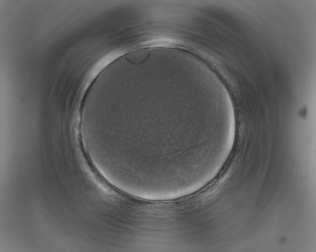 X0000116781418201001281112