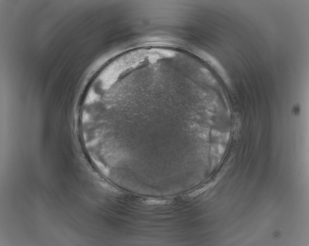 X0000116781419201001281112