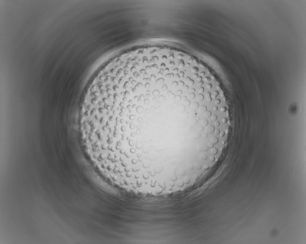 X0000116781420201001281112