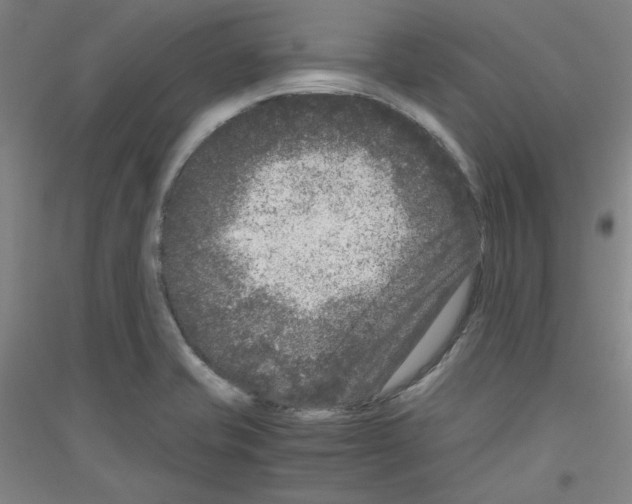 X0000116781421201001281112