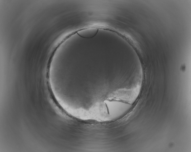 X0000116781422201001281112