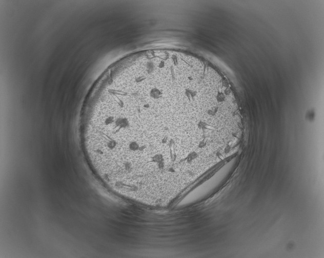 X0000116781423201001281112