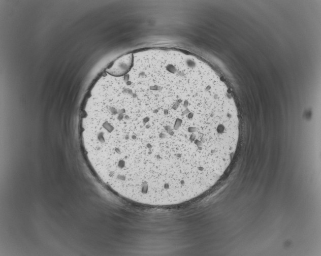 X0000116781424201001281112