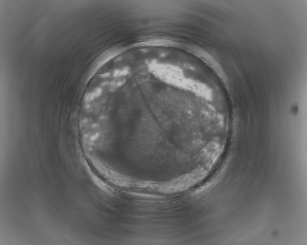 X0000116781425201001281112