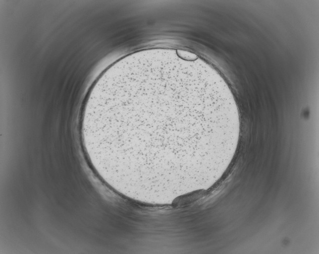 X0000116781426201001281112