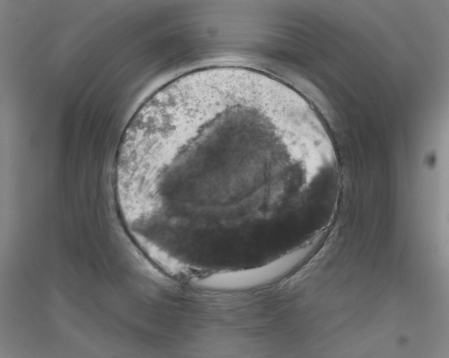 X0000116781428201001281112