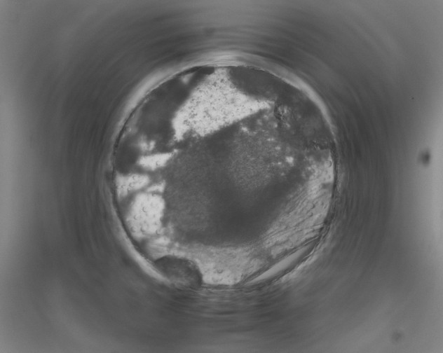 X0000116781429201001281112