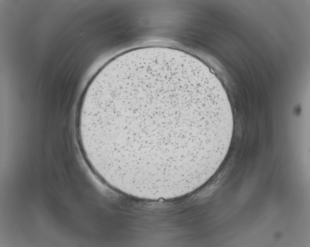 X0000116781430201001281112