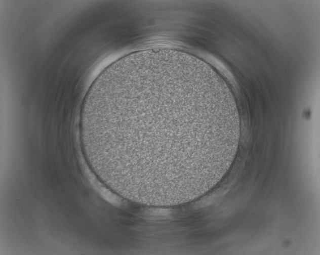 X0000116781431201001281112