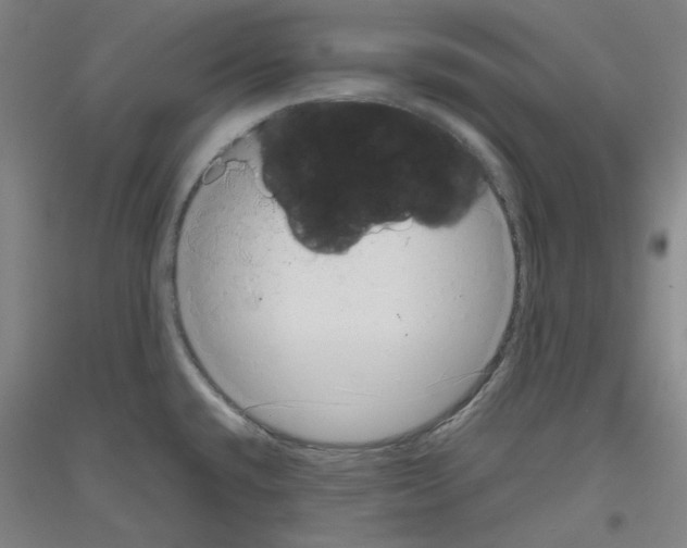 X0000116781432201001281112