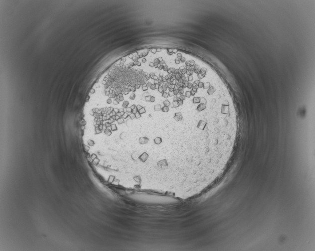 X0000116781433201001281112