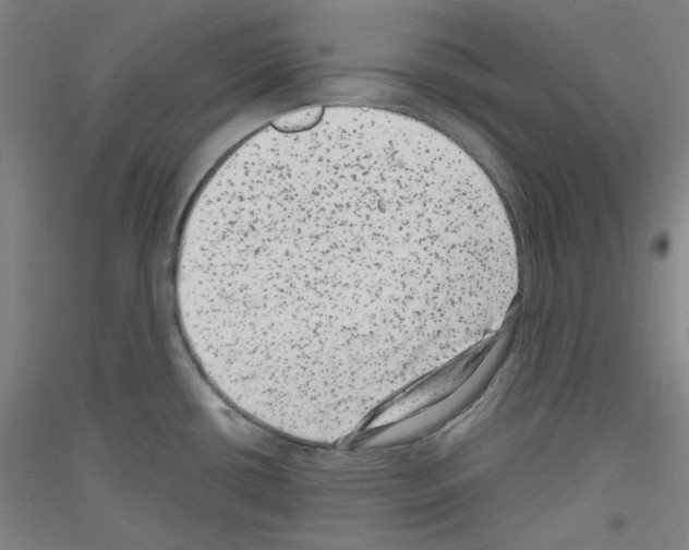 X0000116781434201001281112