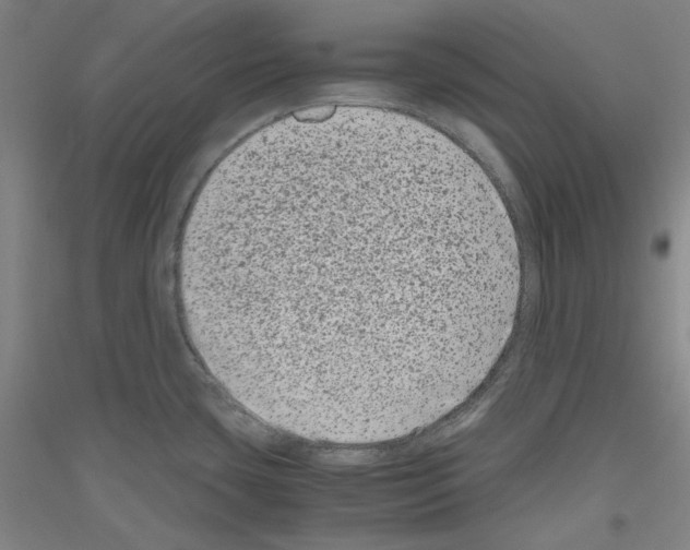 X0000116781435201001281112