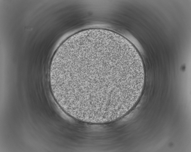 X0000116781436201001281112