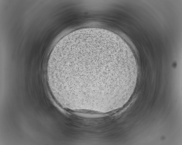 X0000116781437201001281112