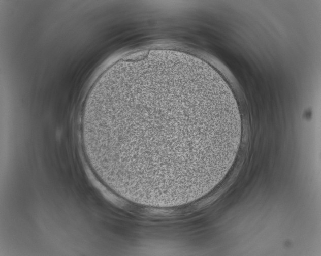 X0000116781439201001281112