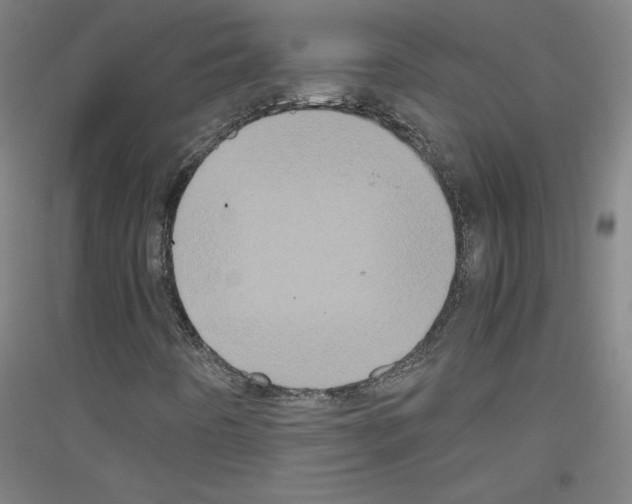 X0000116781442201001281112