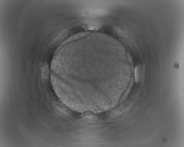 X0000116781443201001281112