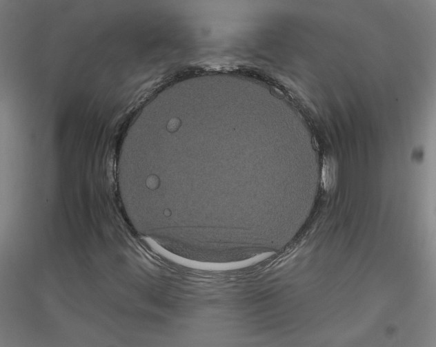 X0000116781444201001281112