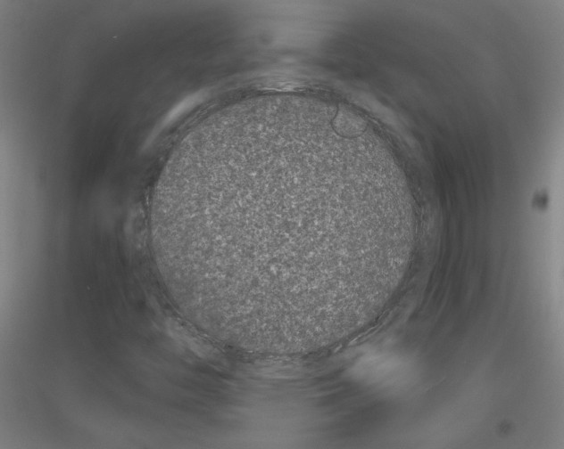 X0000116781446201001281111