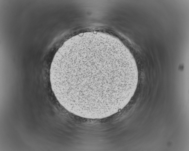 X0000116781447201001281111