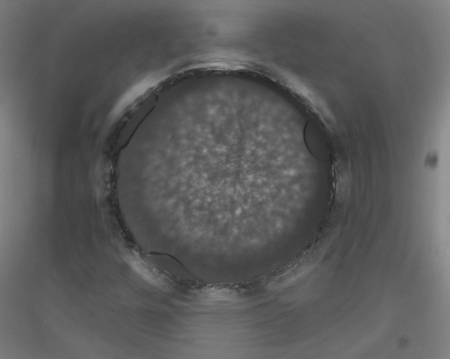 X0000116781448201001281111