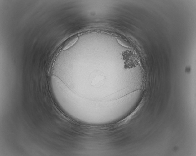 X0000116781449201001281111