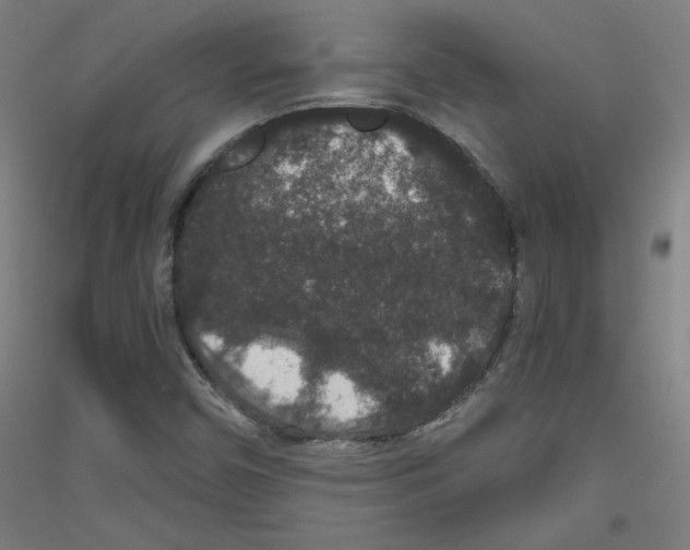 X0000116781450201001281111