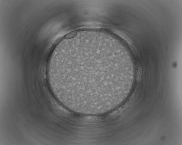 X0000116781451201001281111