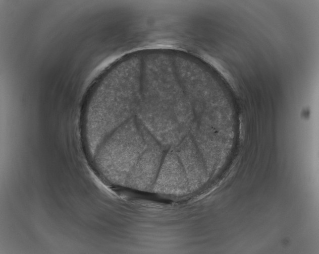 X0000116781452201001281111