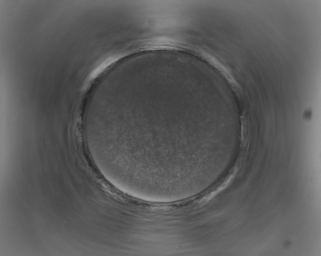 X0000116781453201001281111