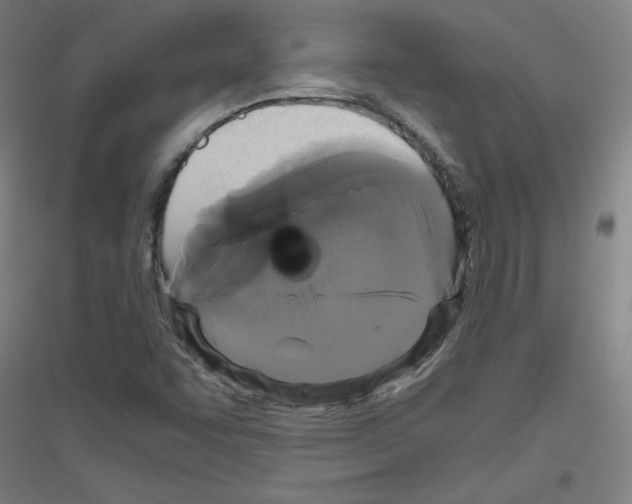 X0000116781455201001281111