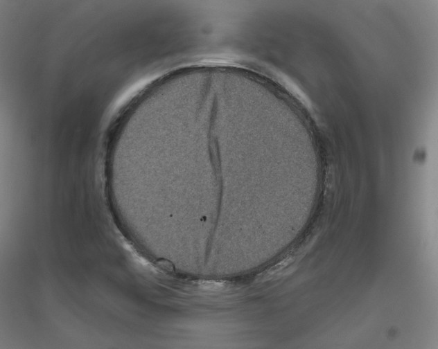 X0000116781456201001281111