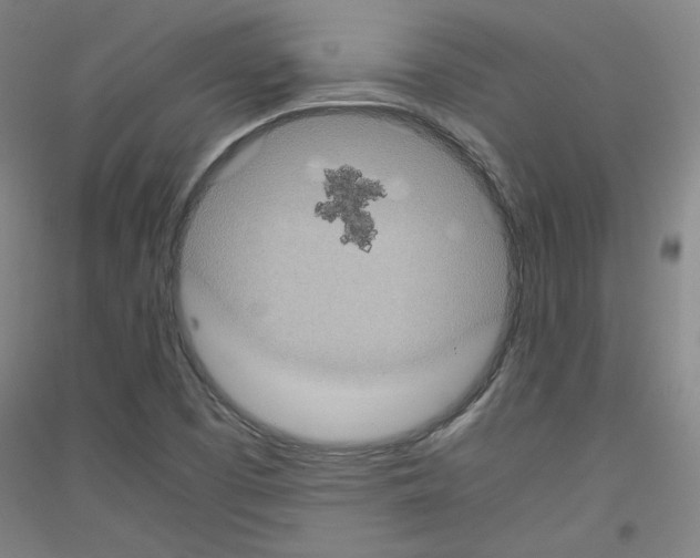 X0000116781457201001281111