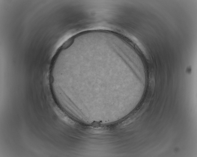 X0000116781460201001281111