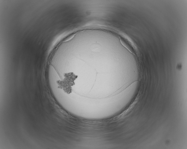 X0000116781461201001281111