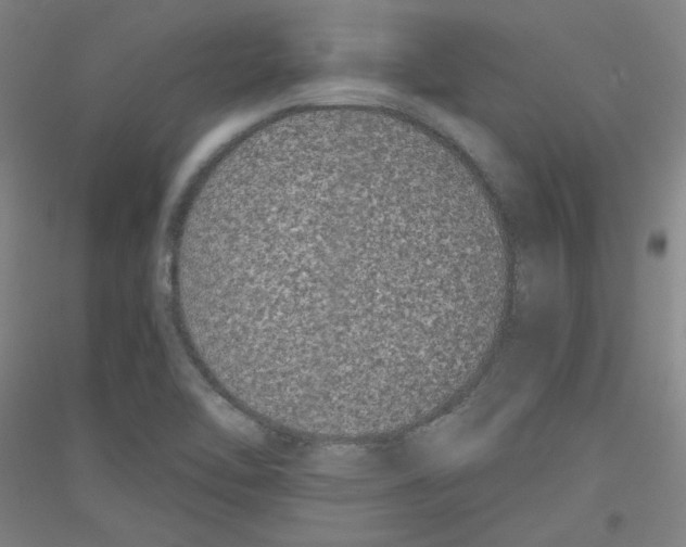 X0000116781462201001281111